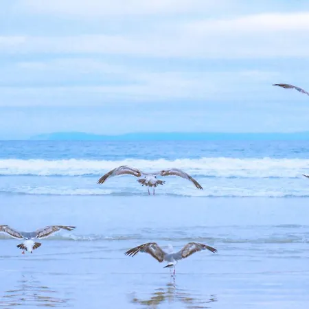 Holiday home Garnekuul 35 - Car Free Park De Garnekuul Aan Zee *