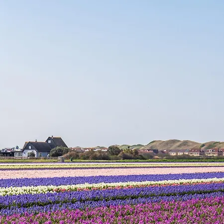 Garnekuul 35 - Car Free Park De Garnekuul Aan Zee Callantsoog